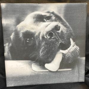 Black Lab Ceramic Photo Tile